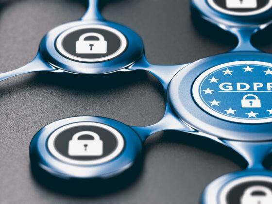 Reading the Tea Leaves: What Do GDPR Enforcement Efforts Tell Us?