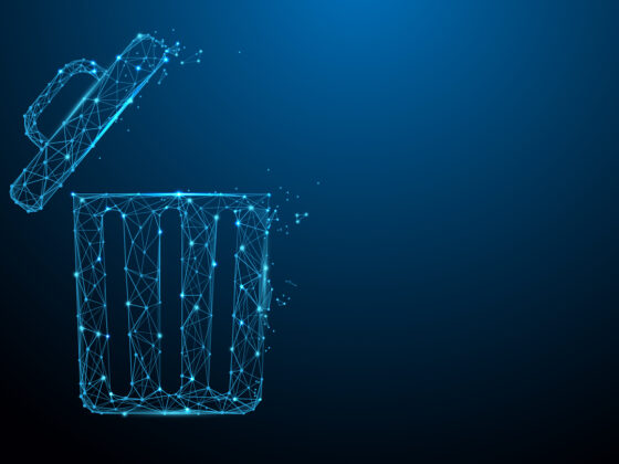 Understanding the Privacy Right to Be Forgotten