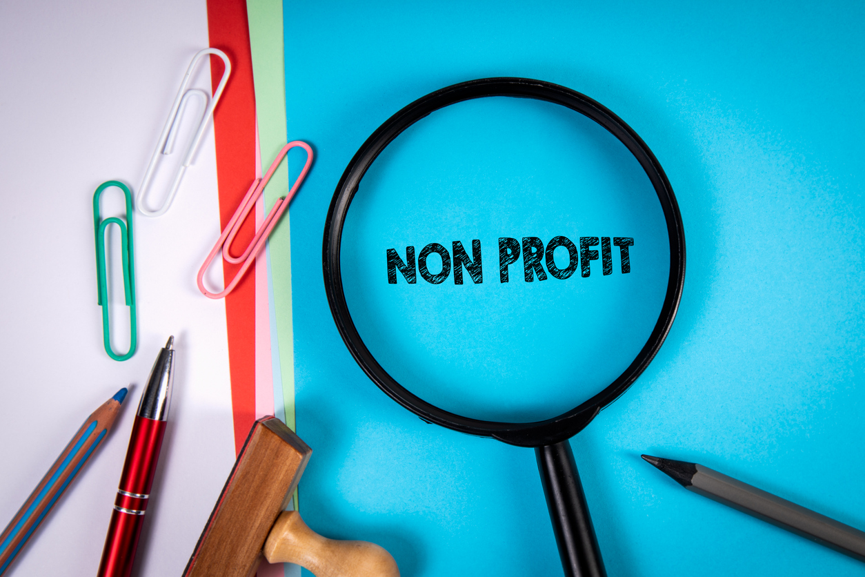 Nonprofit organization consulting services